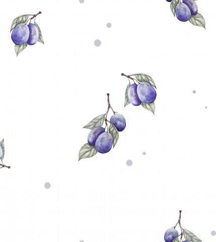 Jersey purple plums on white background