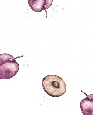 French Terry a watercolor illustration of plums on a white background
