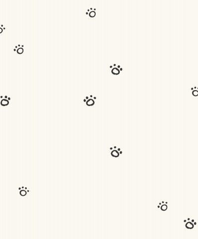 Waterproof fabric paw prints on white background