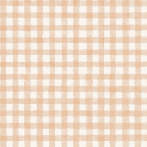 French Terry an orange and white gingham fabric