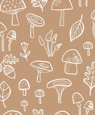 SoftShell mushrooms and leaves on brown background