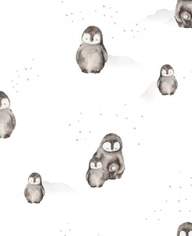 Pingouins de Jersey sur fond blanc