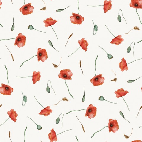 Panama red poppies on white background