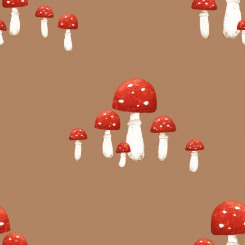 Panama mushrooms on a brown background