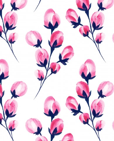 Fleurs roses SoftShell sur fond blanc