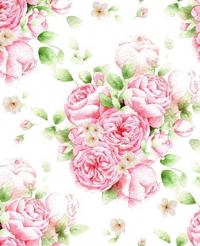Rose rosa SoftShell e foglie verdi