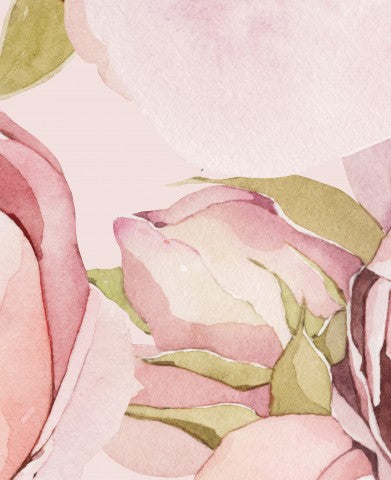 SoftShell a watercolor painting of pink roses