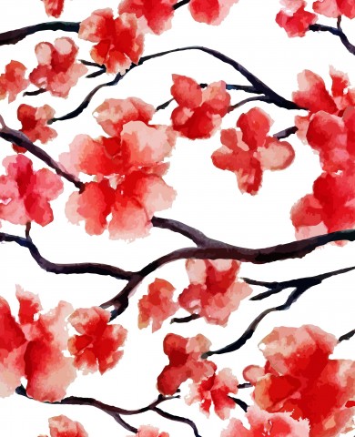 French Terry ein Aquarell von roten Kirschblüten