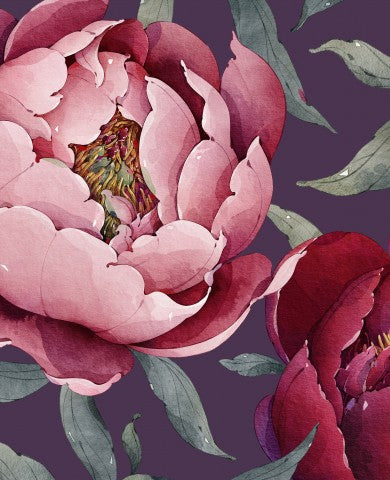 Jersey ein Aquarell von rosa Pfingstrosen auf violettem Hintergrund