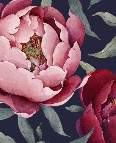 Jersey ein Aquarell von roten und rosa Pfingstrosen