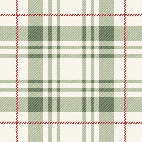 Rib Jersey a green and red checked fabric pattern