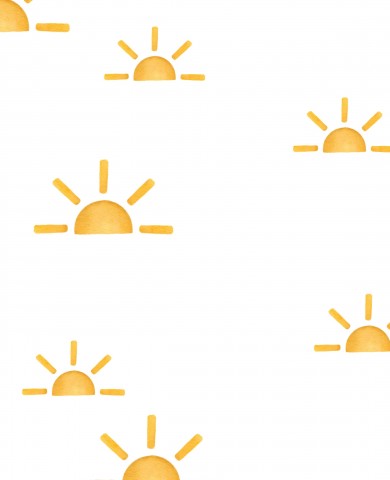 Panama suns on a white background