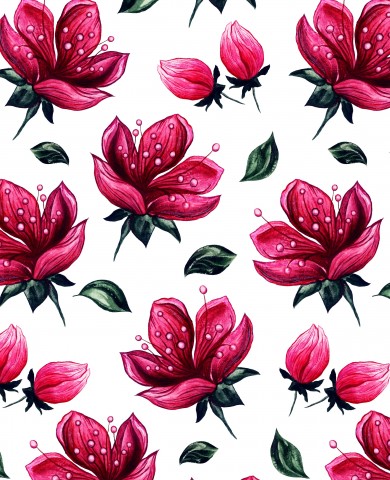 Jersey pink flowers and leaves on a white background