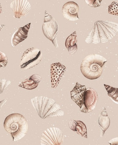 French Terry shells on beige background