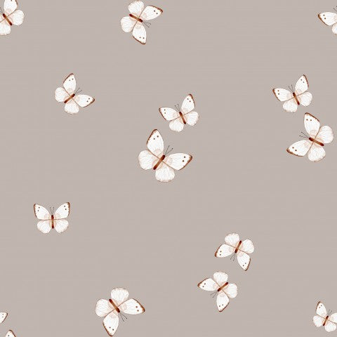 Jersey white butterflies on a gray background