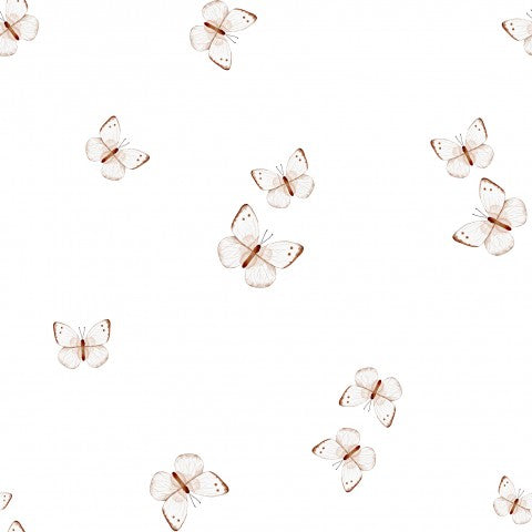 SoftShell brown butterflies on white background