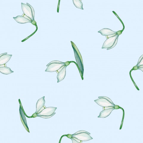 Satin cotton pattern of snowdrop flowers on a blue background