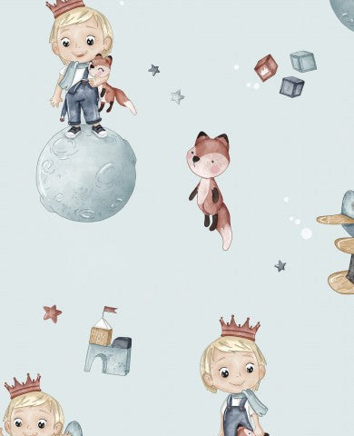 French Terry a boy and a fox on the moon