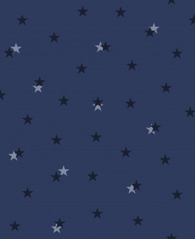 French Terry a blue background with stars on it