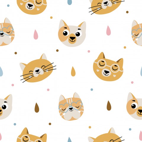 Panama Cats and Raindrops