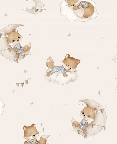 Panama foxes on the moon and clouds