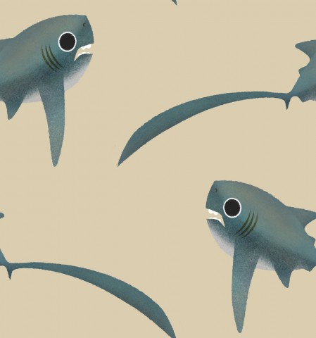Jersey pattern of sharks on a beige background