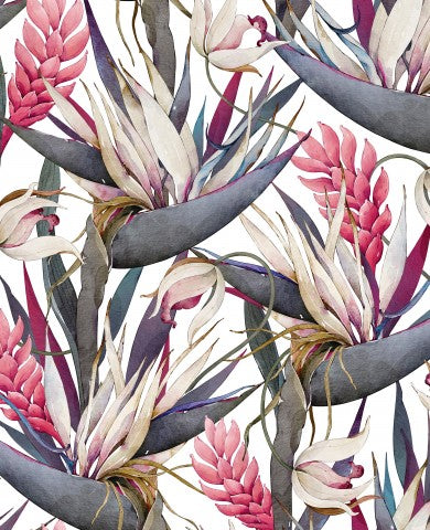 Jersey bird of paradise flowers and leaves