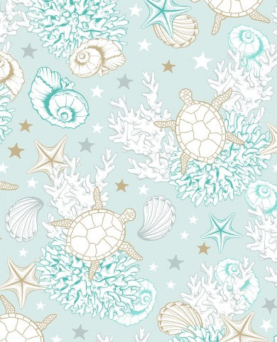 Tortues de mer à carapace molle et étoiles de mer