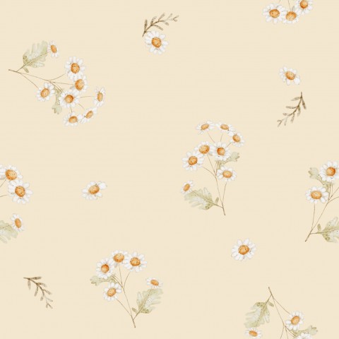 Mousseline madeliefjes op beige achtergrond