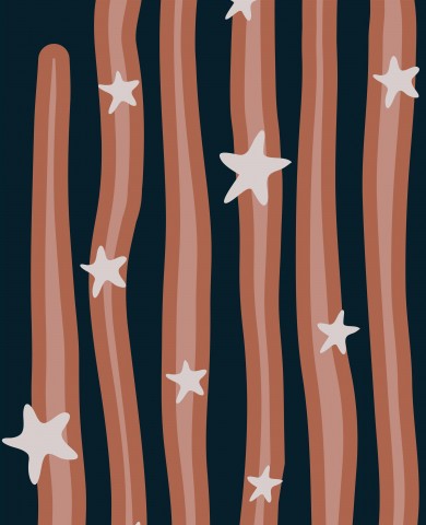 Stelle e strisce di cotone satinato