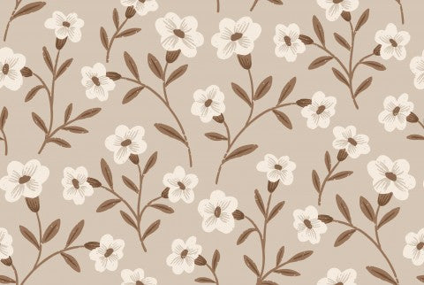Satin cotton flowers on beige background