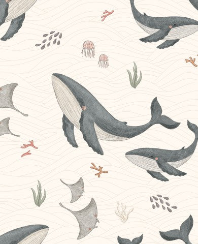 Muslin whales and jellyfish