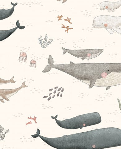 Muslin whales and jellyfish on a white background