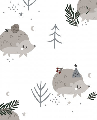 Panama hedgehogs and pines