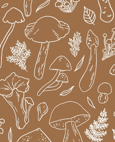 SoftShell mushrooms on brown background