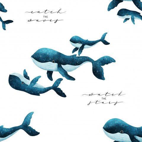 Baleines aquarelles à carapace molle