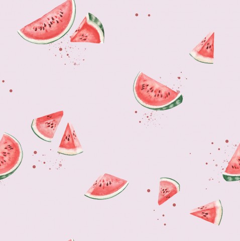 French Terry Wassermelonenscheiben