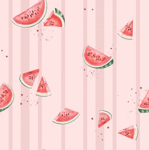 Rib jersey watermelon pattern on pink background