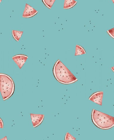 French Terry Watermelon Slices