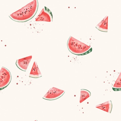 French Terry watermelon slices on a white background