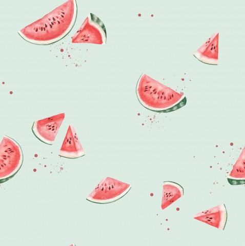 Rib Jersey Wassermelone