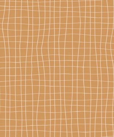 Musselin Wavy grid orange white