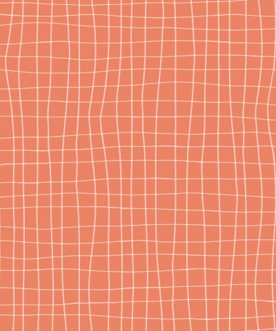 Rib Jersey an orange background with a grid pattern