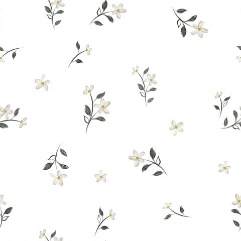 Panama hvide blomster og blade