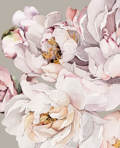 Satin cotton a watercolor of peonies on a gray background