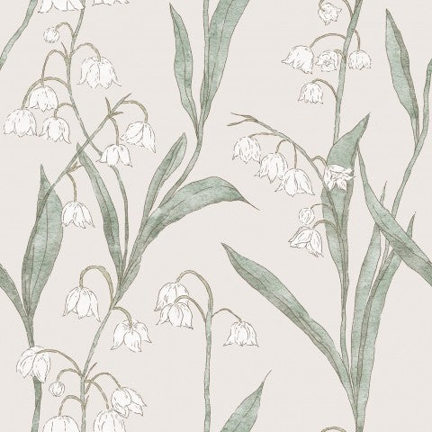 Panama eine Maiglöckchen-Tapete