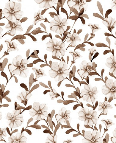 Panama brown flowers on white background