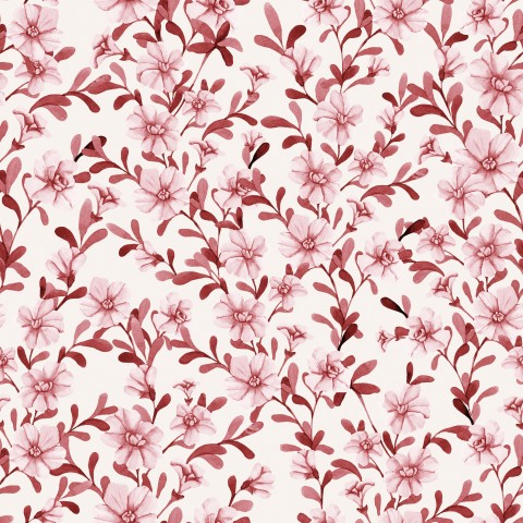 Fiori rosa SoftShell su sfondo bianco