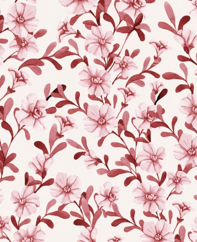 Fiori rosa Panama su sfondo bianco