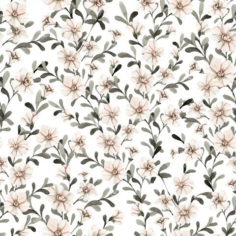 Fiori di Jersey su sfondo bianco